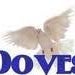 Newport Coast White Dove Release