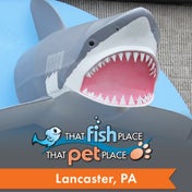 That Fish Place - That Pet Place - 27 tips from 1814 visitors