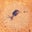Leena Soufi's profile image