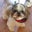Daisy Oaks's profile image