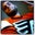 Vincenzo Coppola's profile image
