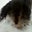 Kathy Drew's profile image