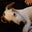 Bon's profile image