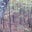 John Chandler's profile image