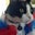 Debi G's profile image