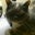 Linda Mastin's profile image
