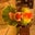 Tim Struck's profile image