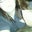 Melissa Yuill's profile image
