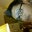 Pete Sanchez's profile image
