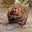 Betty Arnold's profile image
