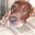 Dale Jacobs's profile image