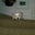 Denise Lachinski's profile image