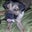 Russell LeMasters's profile image
