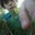 Trevor Curtis's profile image