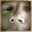 Aaren P's profile image