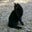 Tanja Wadsworth's profile image