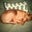 Sally Schmidt's profile image