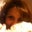 Kann Kelly's profile image