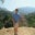 Josh Dettman's profile image