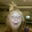 dustin nofel's profile image