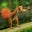 Kelli Chase's profile image