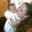 Anna Capo's profile image