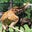 Douglas Lantz's profile image