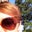 Stephanie Merriman's profile image