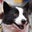 Edward Whitting's profile image