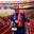 Bruce Stover's profile image