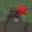 Joseph Martin's profile image