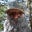 Rik Miller's profile image
