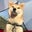 Lance Tanaka's profile image