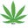 Weedstache's profile image