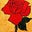 Che nnnnn's profile image
