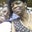 Sheryl Harris's profile image
