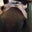 Savanna Francis's profile image