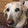 Laurie R's profile image