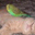 Patricia Caton's profile image