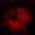 Los's profile image