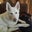 Jayna's profile image