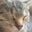 Bev Westerberg's profile image