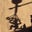 Coyote Cafe's profile image