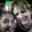 Corine Ortega's profile image