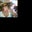 Carol Bishop's profile image
