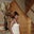 Jodi Hall-Cameron's profile image