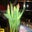 Angela Marlow's profile image