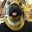 Jeff M's profile image