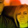 Kelsie Hopkins's profile image