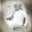 Abdulaziz Alghamdi's profile image